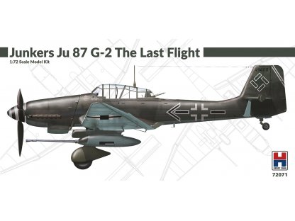 H2000 1/72 Junkers Ju 87 G-2 The Last Flight
