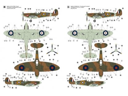 HOBBY 2000 1/32 Spitfire Mk.IIa w/Rotol Propeller, ex Revell + Cartograf + pMask + resin