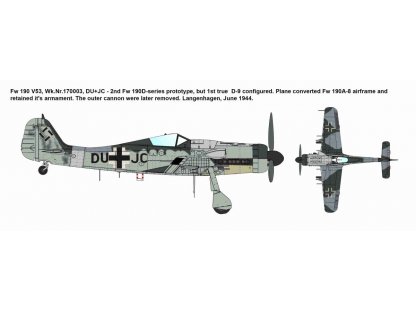IBG 1/72 Fw 190D-9 Prototype (LIMITED EDITION)