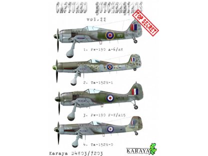 KARAYA 1/72 Decals Captured Butcherbirds Vol. II