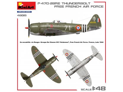 MINIART 1/48 P-47D-28RE Thunderbolt Basic Kit Free French Air Force