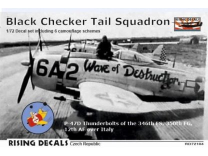 RISING DECALS 1/72 Decal Black Checker Tail Sqdr. (6x camo)
