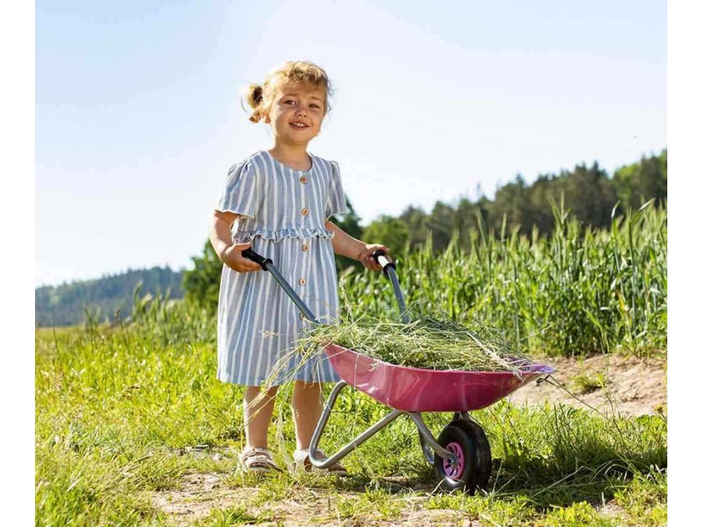 Dětské zahradní kolečko plastové Milly Mally Rolly Toys