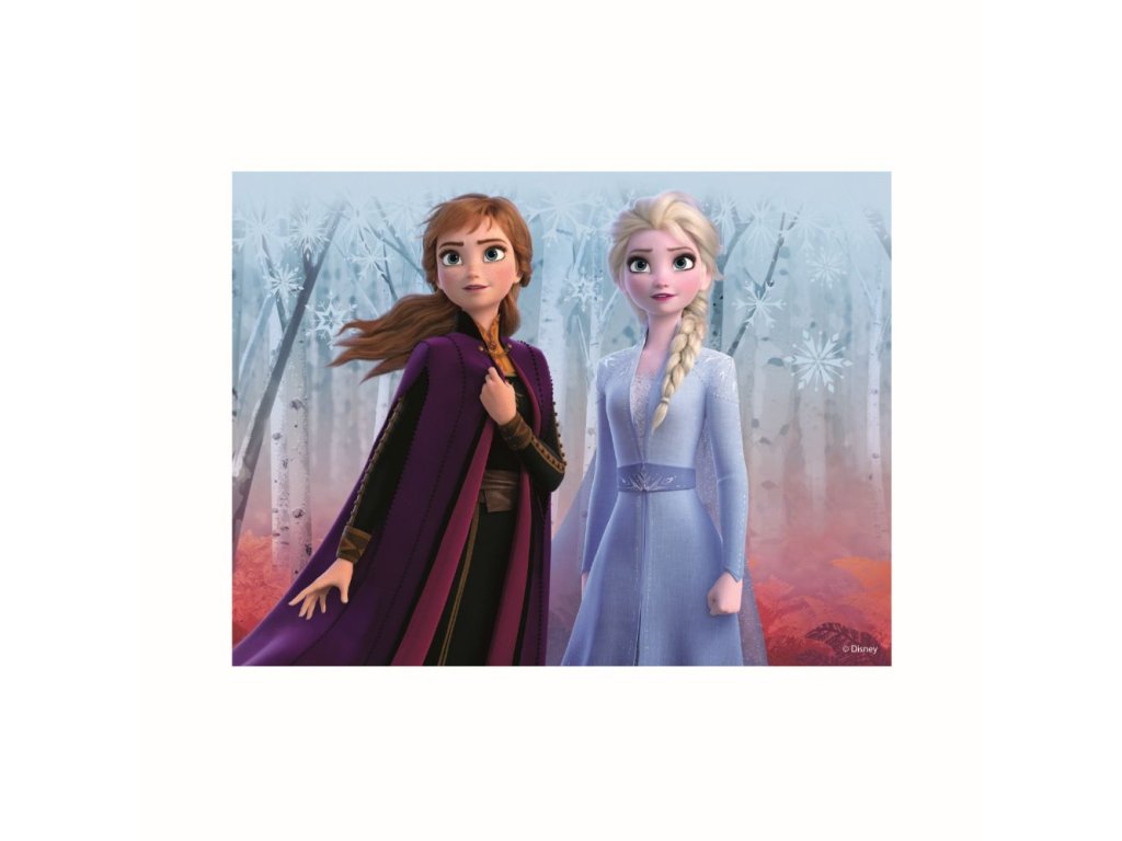 FROZEN II 12 Dřevěné licenční kostky