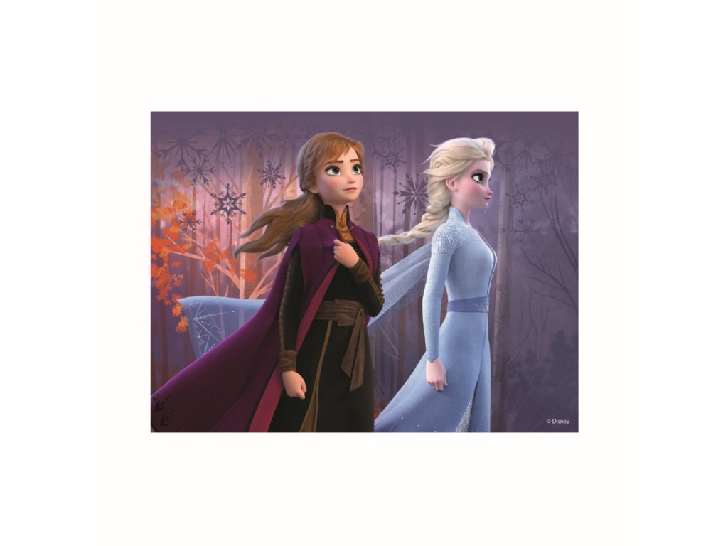 FROZEN II 12 Dřevěné licenční kostky