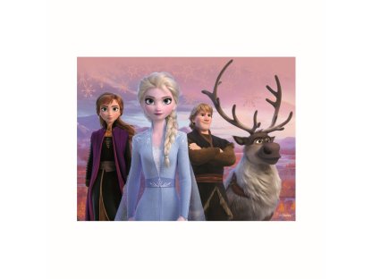 FROZEN II 12 Dřevěné licenční kostky