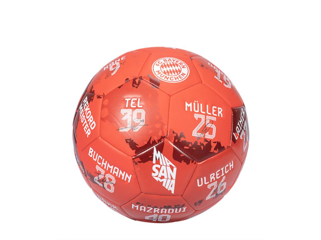 Fotbalový míč FC Bayern München Signature 2023-24