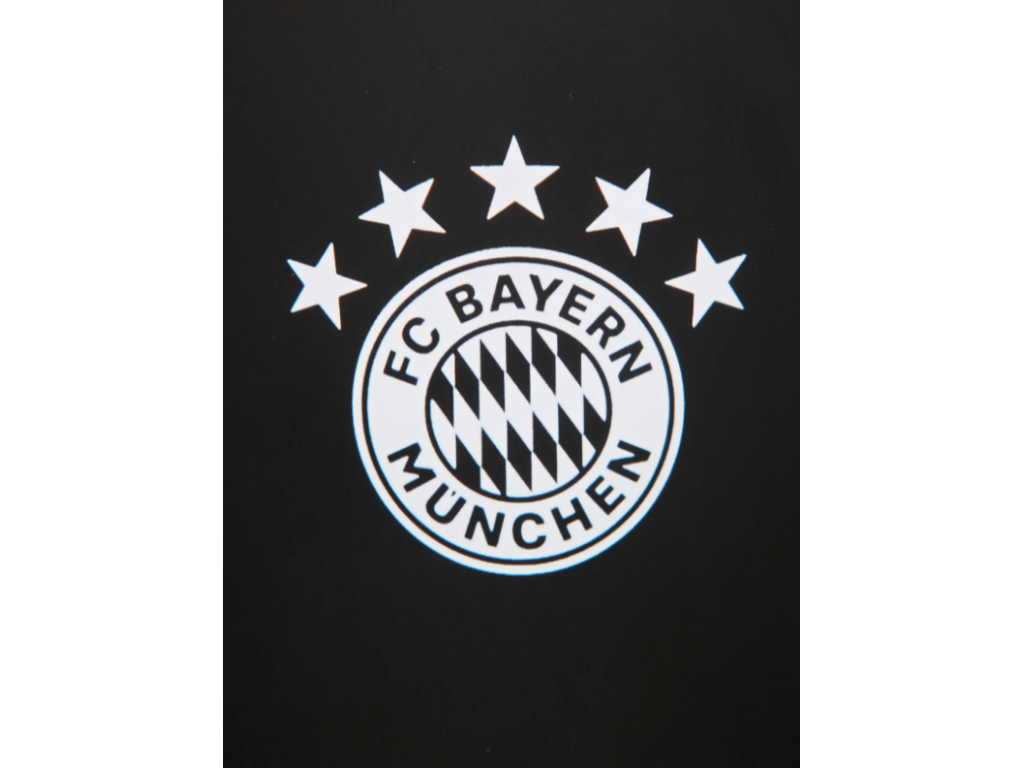 Sticla de baut din aluminiu cu sigla 5 stele FC Bayern München, neagra, 0,6l