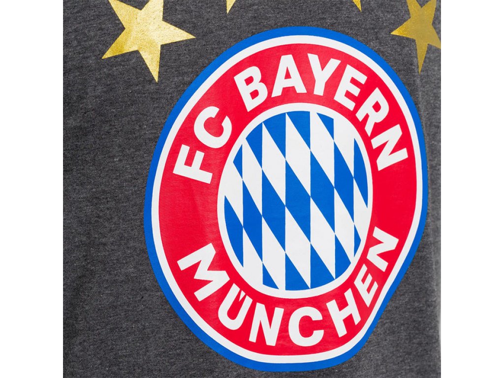 Pánske tričko Logo FC Bayern München, antracit