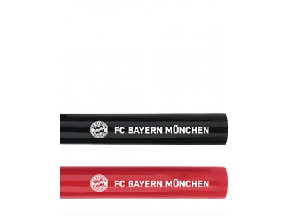 Fixy 2 ks FC Bayern München