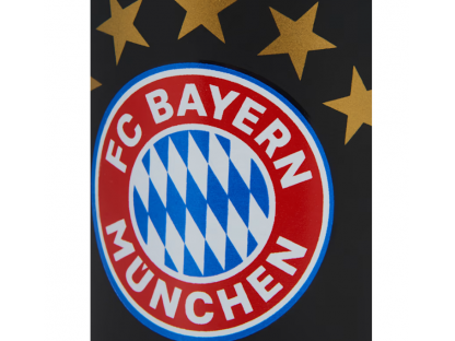 Hrnek FC Bayern München 0,3 l černý