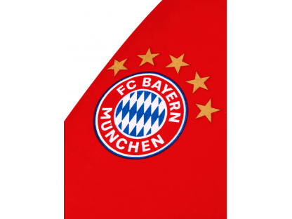 Plachta FC Bayern München