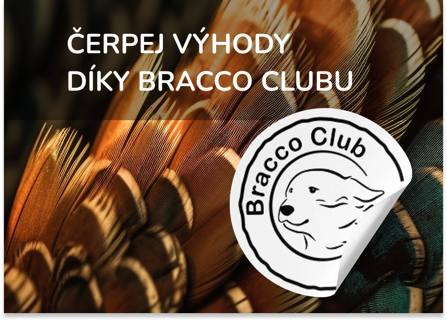 Titulní strana 4 radek - 2