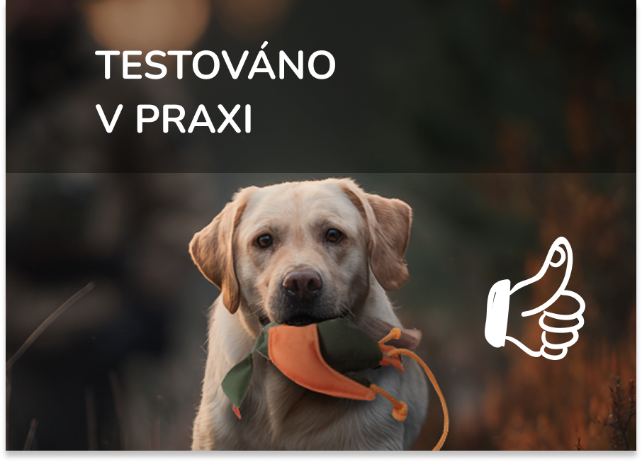 Titulní strana 4 radek - 3