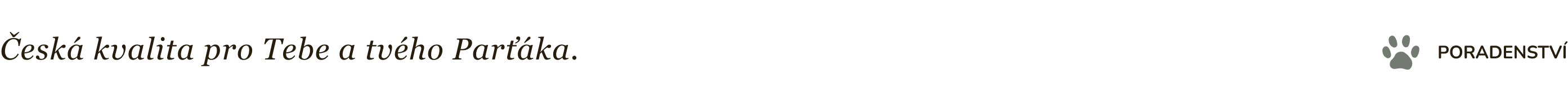 Titulní strana - 1 radek