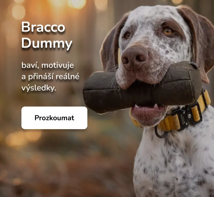 Bracco dummy baví - m
