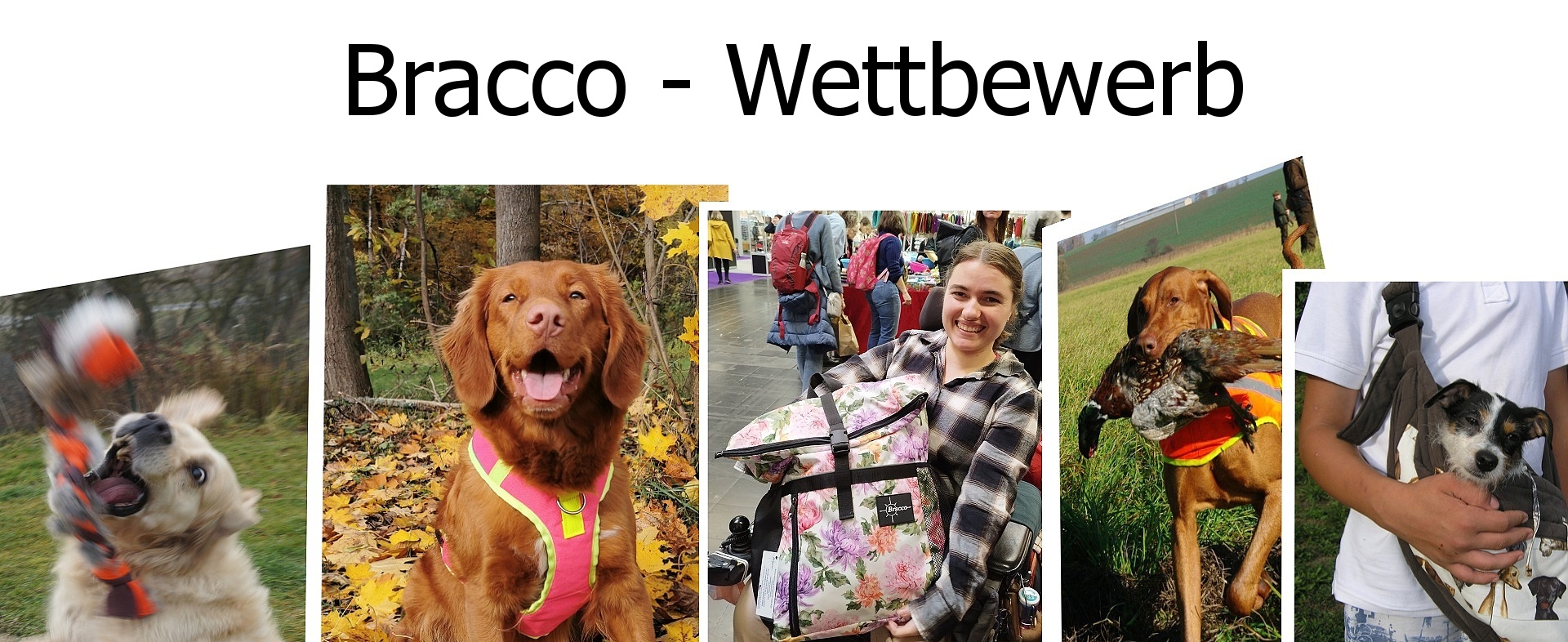 Bracco Wettbewerb