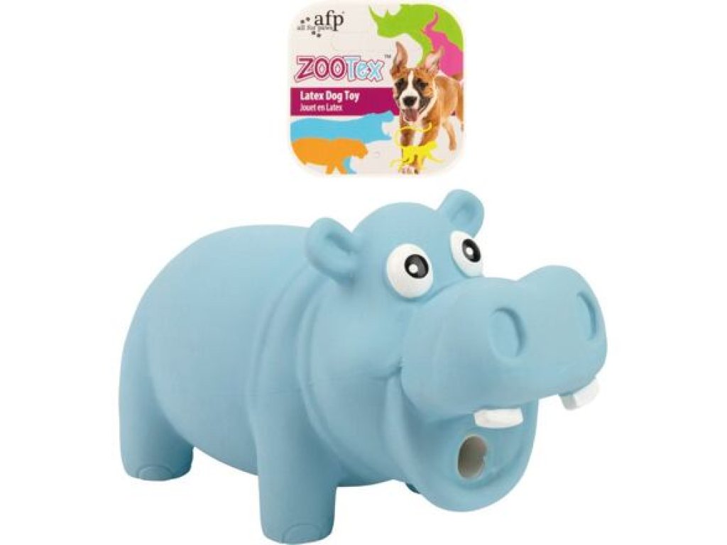 AFP Hector the Hippo L