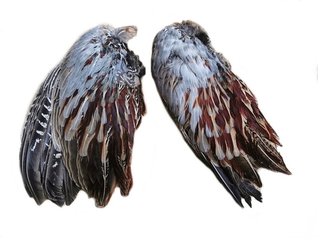 Pheasant wings, different variants