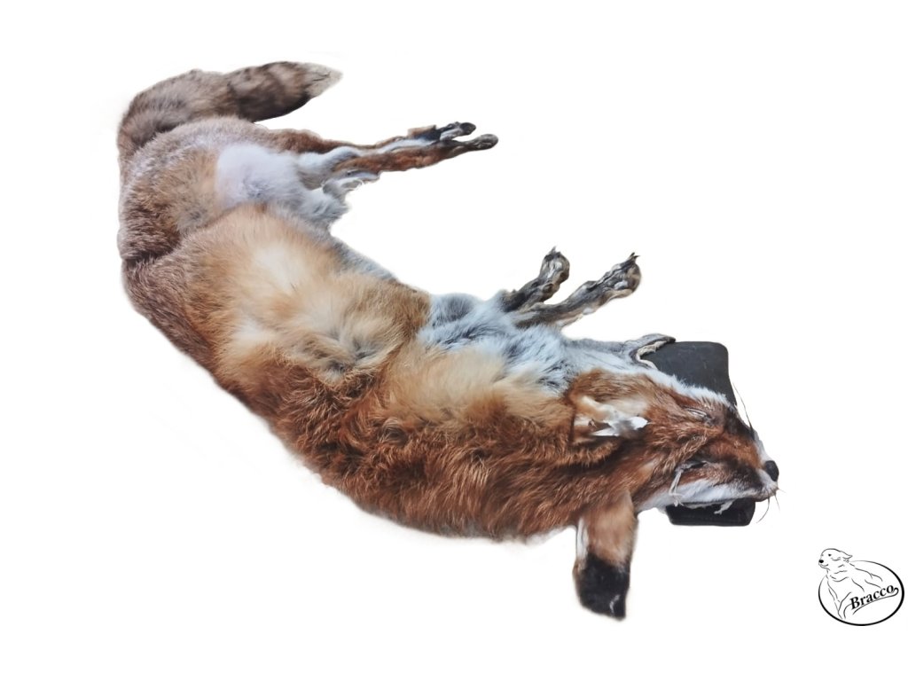 Bracco celokožešinový plnitelný aport s liščí kožešinou pro střední plemena, premium quality