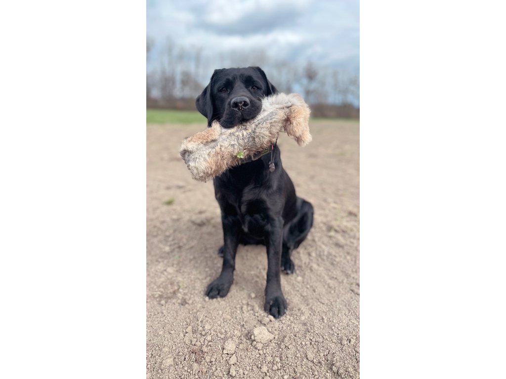 Bracco Dummy celokožešinový, váhy 250 g, 500 g, 1000 g- premium quality