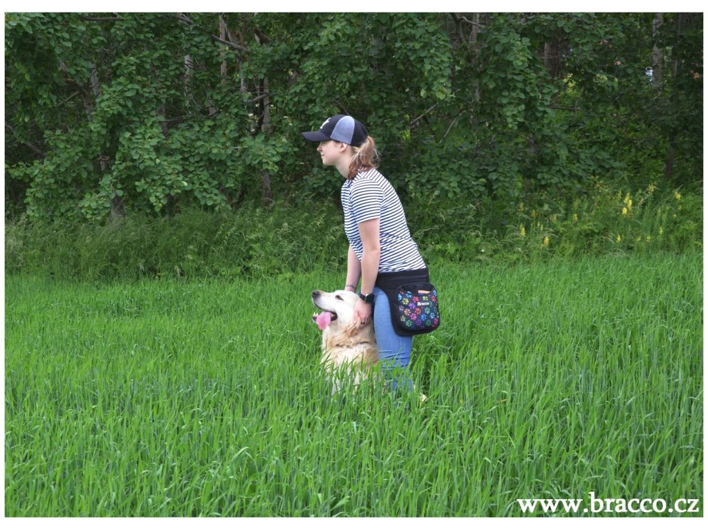 Bracco-Gürtel für Hundetraining und andere Hobbys, Schwarz/Distel - verschiedene Größen