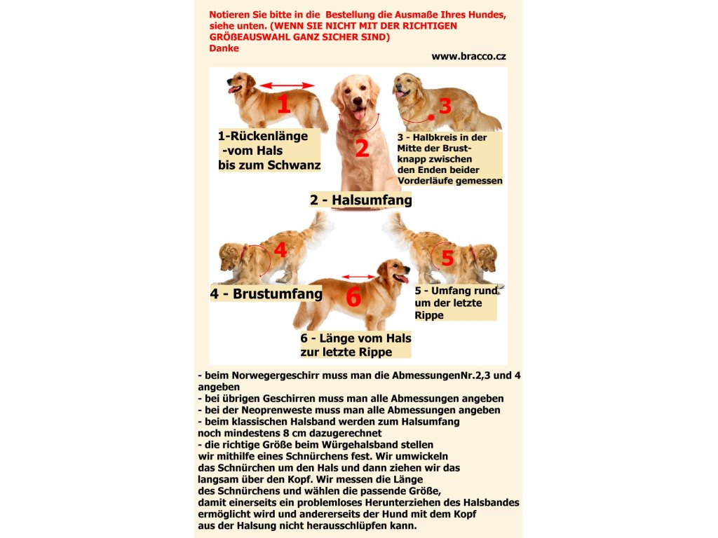 Bracco Norwegian harness, orange - different sizes.