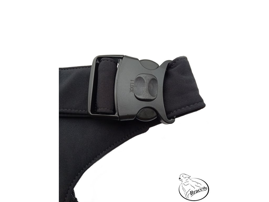 Bracco belt for training and or for going out, black paws/ khaki- different sizes 