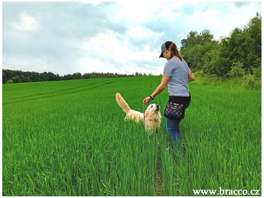 Bracco-Gürtel für Hundetraining und andere Hobbys, schwarze Pfoten/Blau-  verschiedene Größen