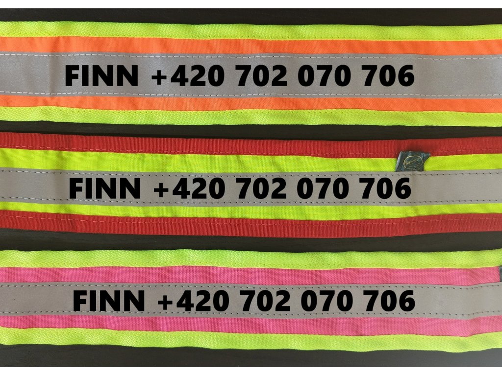 Bracco Hundesignalhalsband mit Fähnchen, Orange- Möglichkeit der Angabe von Telefonnummer, Name