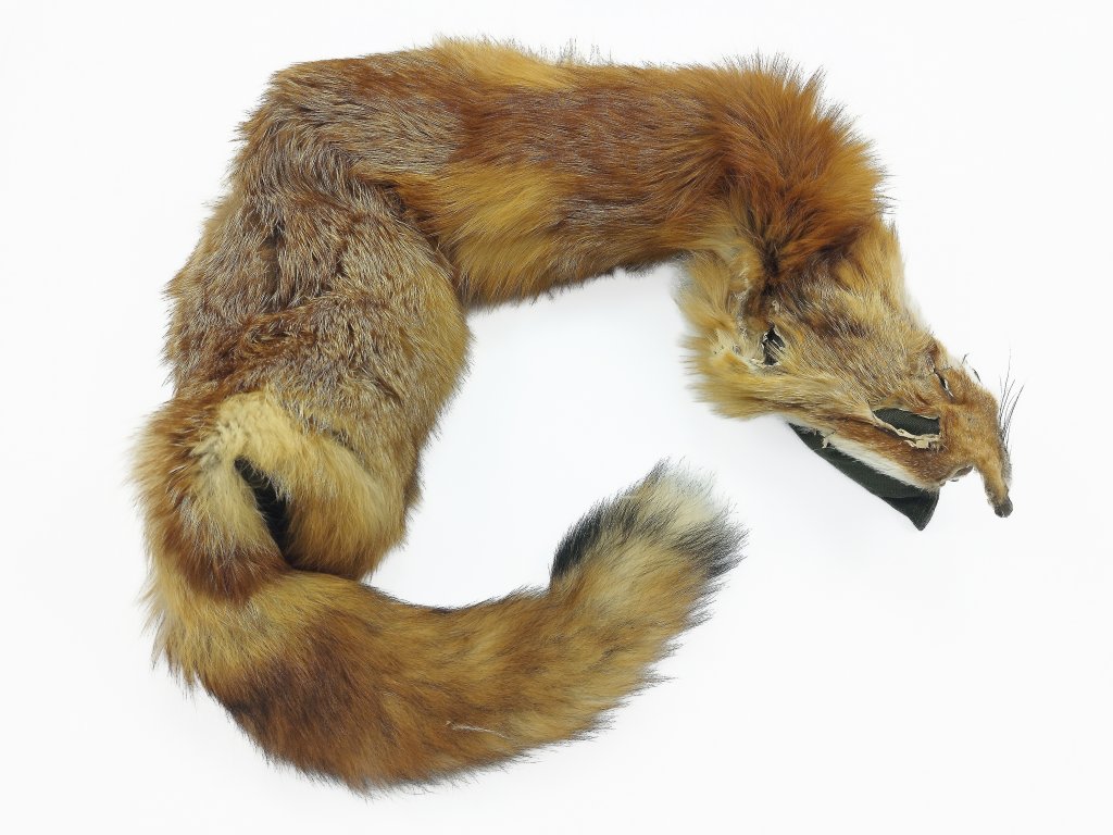 Bracco třídílný liščí aport celokožešinový- 2000 g - 7000 g, Standard