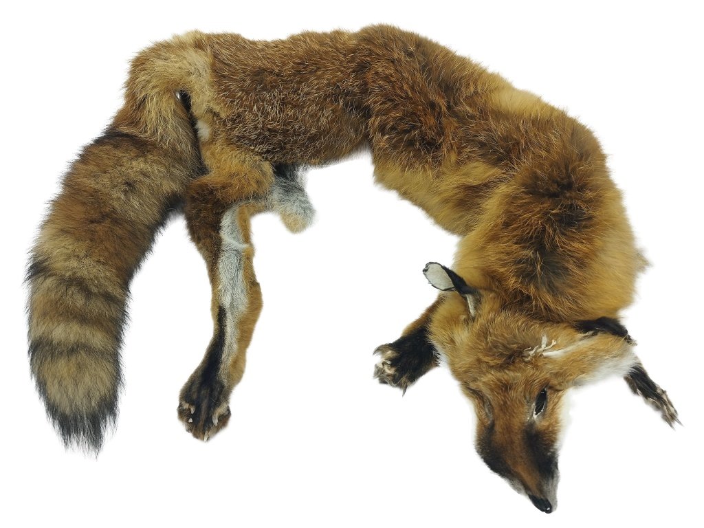 Bracco třídílný liščí aport celokožešinový- 6 kg, premium quality