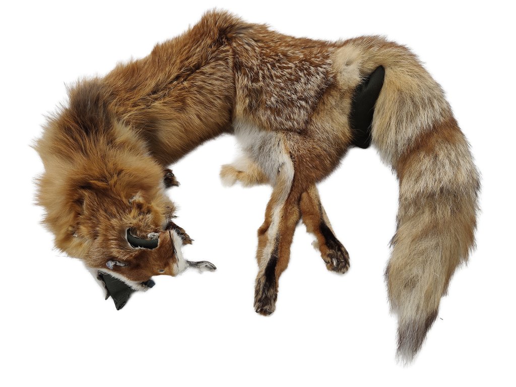 Bracco třídílný liščí aport celokožešinový pro střední plemena- 1500 - 3000 g, premium quality 