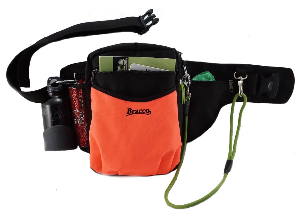 Bracco dog training belt Multi, black/orange