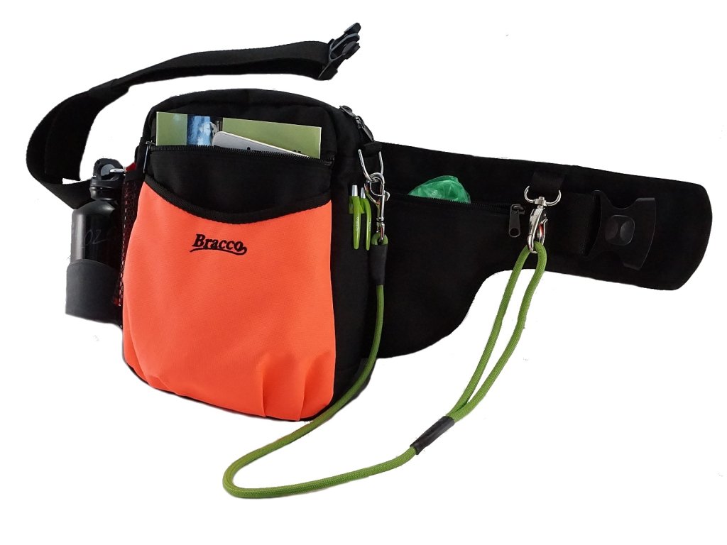 Bracco dog training belt Multi, black/orange