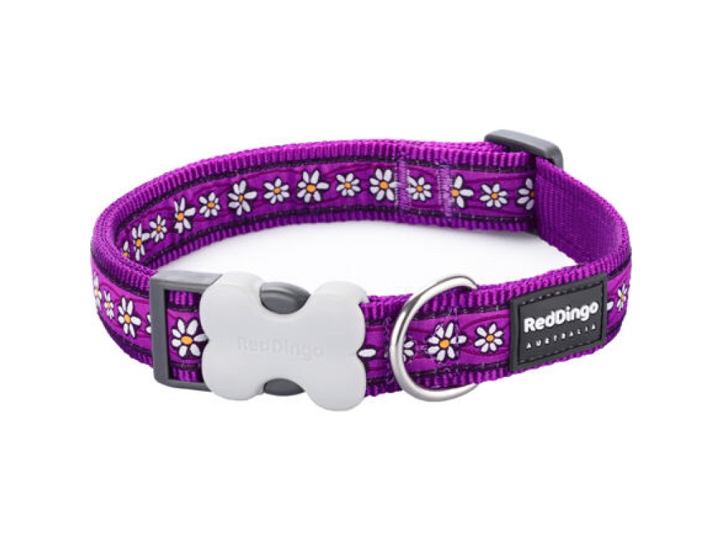 Obojek RD 12 mm x 20-32 cm - Daisy Chain Purple