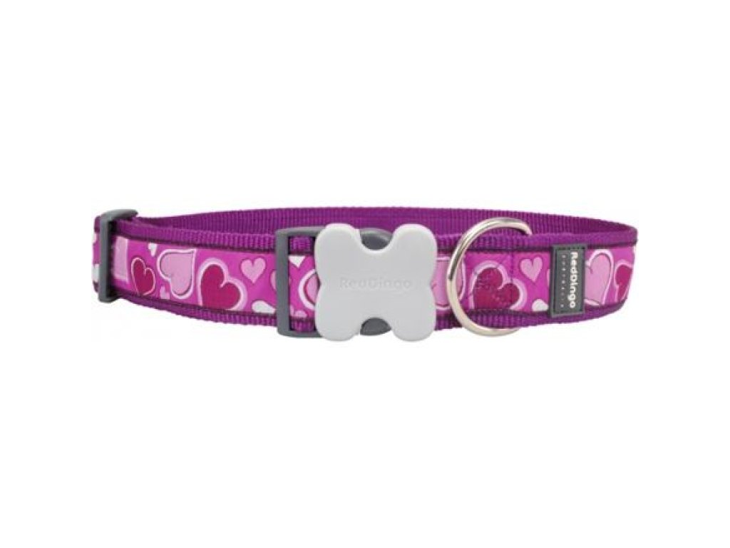 Obojek RD 40 mm x 50-80 cm - Breezy Love Purple