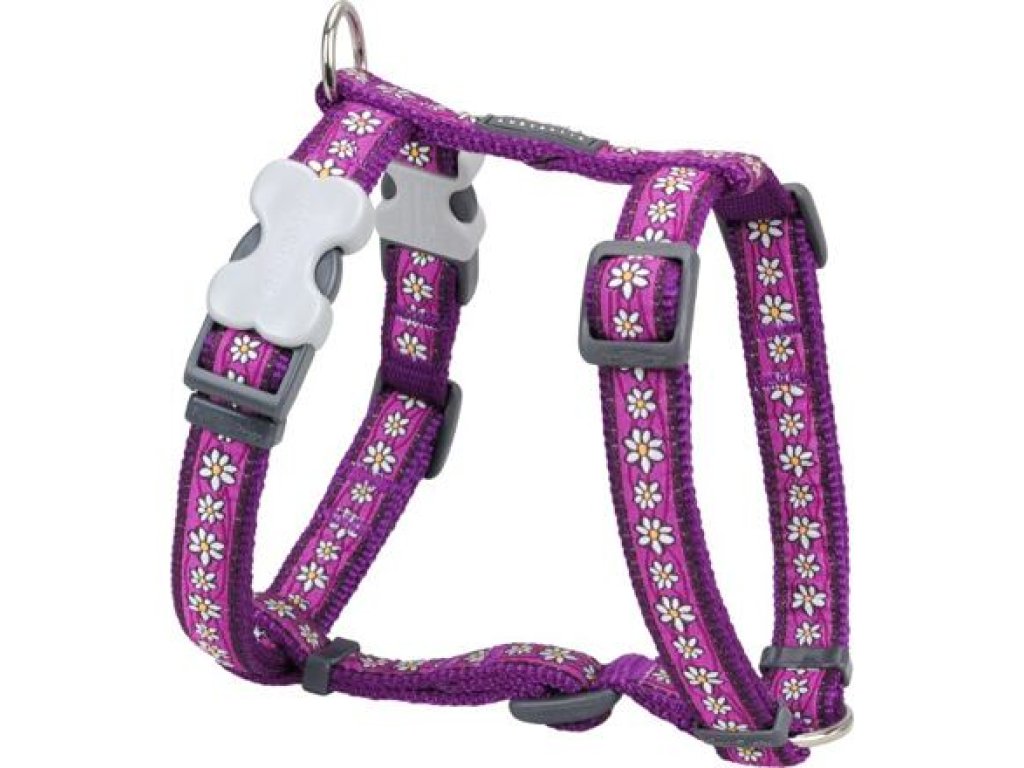 Postroj RD 12 mm x 30-44 cm - Daisy Chain Purple