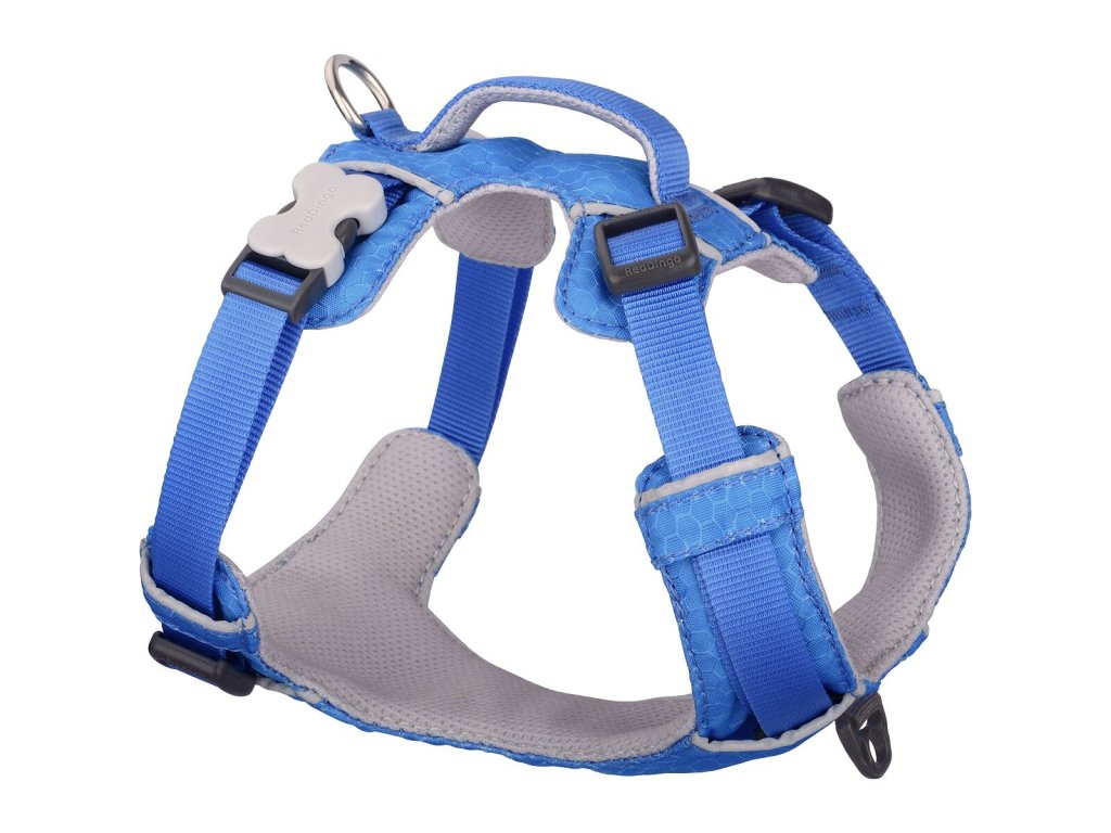 Red Dingo postroj Sport – Electric Blue – 12 mm x 31-43 cm