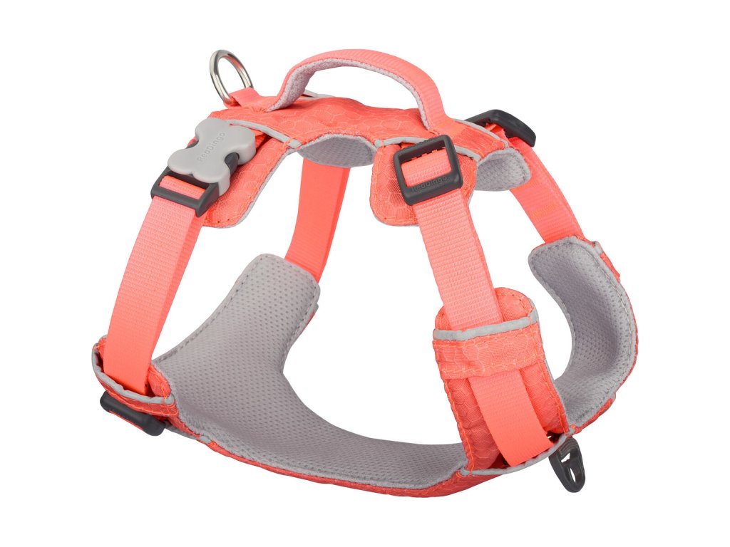 Red Dingo postroj Sport – Hi-Vis Peach – 25 mm x 75-112 cm