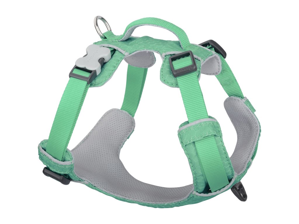 Red Dingo postroj Sport – Pastel Green – 20 mm x 47-64 cm