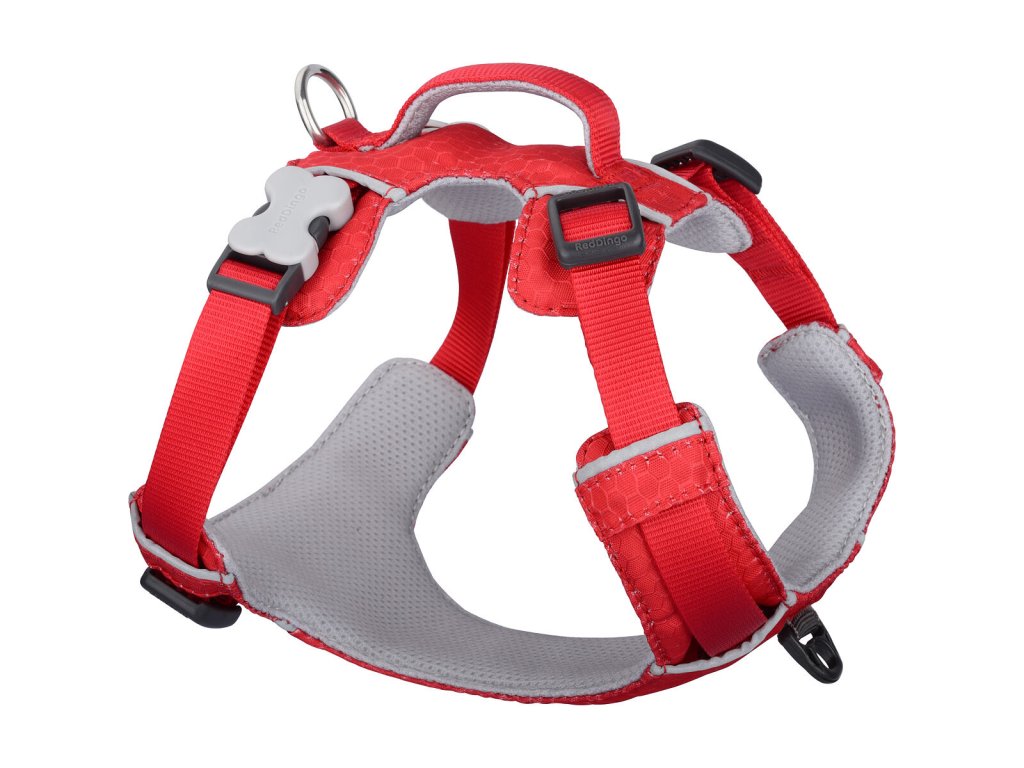 Red Dingo postroj Sport – Red – 25 mm x 58-81 cm