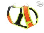 BRACCO postroj pro psa ACTIVE , neon oranž- různé velikosti.