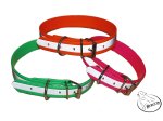 Bracco Biothane Halsband reflex orange- verschiedenen Größen.