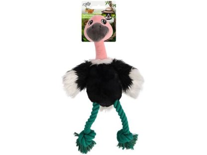 AFP Safari Jungle Ostrich