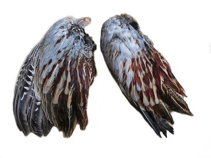 Pheasant wings, different variants