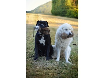 Bracco Dummy celokožešinový 2, váhy 250 g, 500 g, 1000 g - premium quality