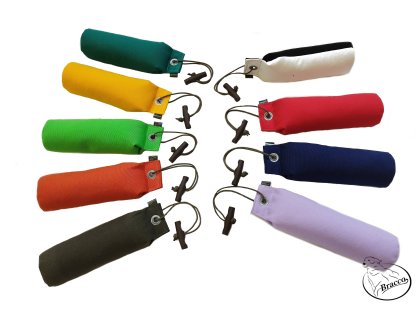 Bracco Dummy Standard 250 g, světle zelená