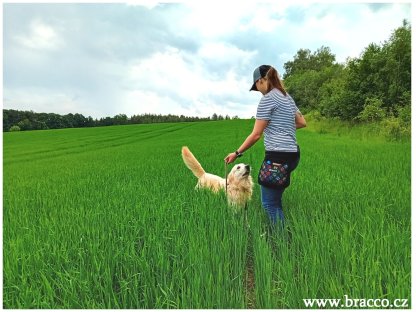 Bracco-Gürtel für Hundetraining und andere Hobbys,, Schwarz/Bambus - verschiedene Größen