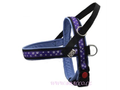 Bracco Norwegian harness, lila - different sizes.